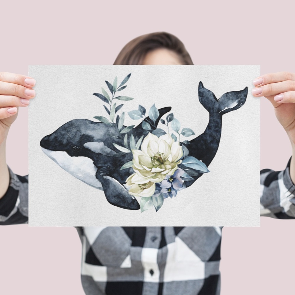 Watercolor Orca Whale Wall Art Illustration Print Poster Unframed - Picture 3 of 10